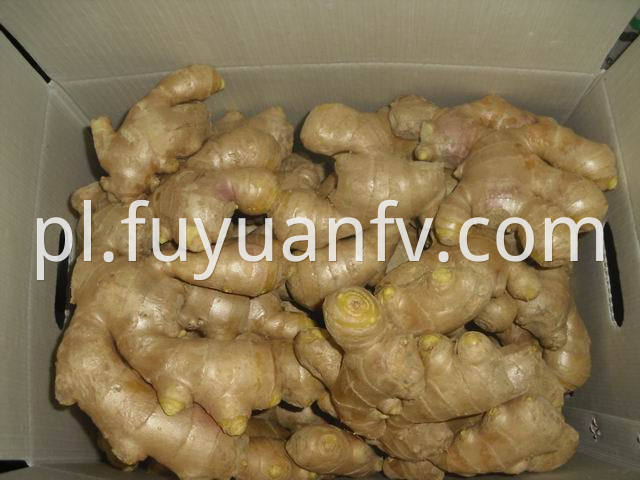 air dried ginger 